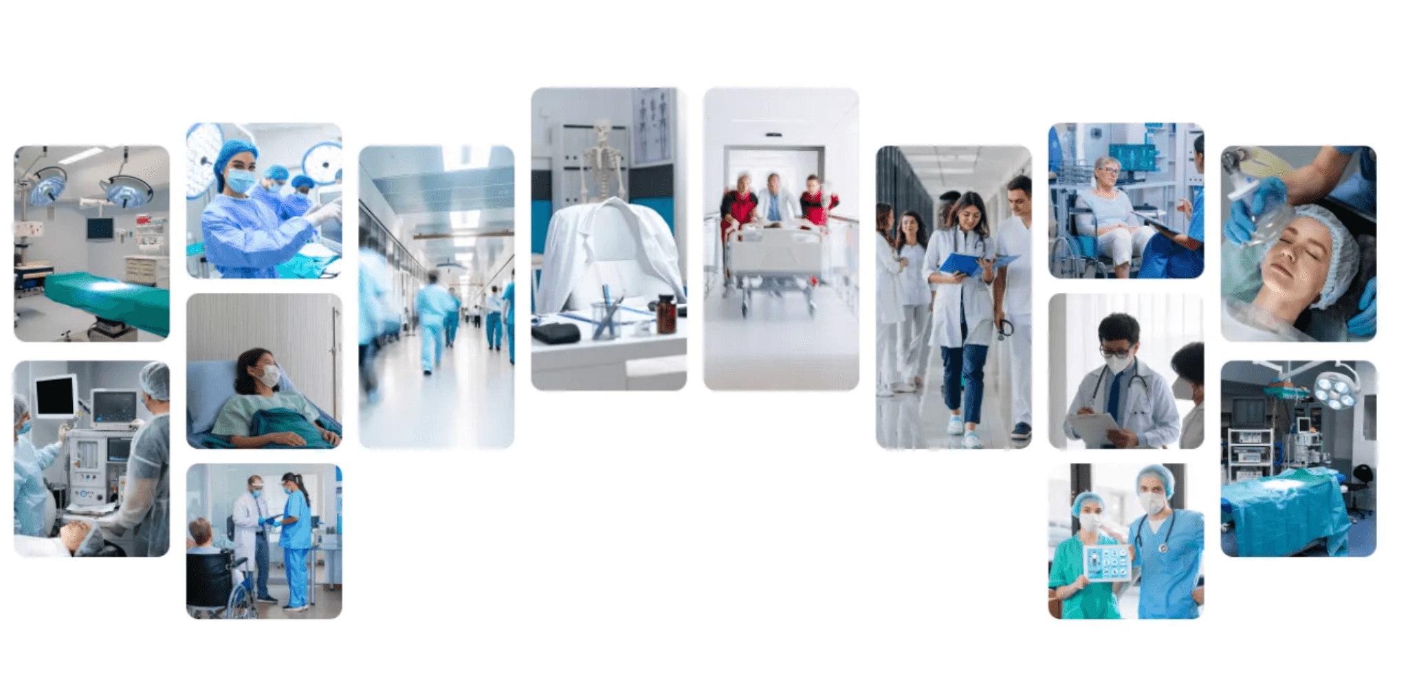 Trusted healthcare professionals and medical facilities